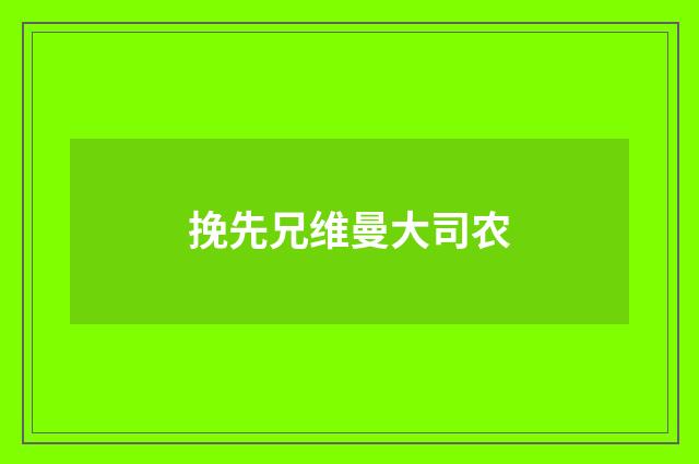 挽先兄维曼大司农