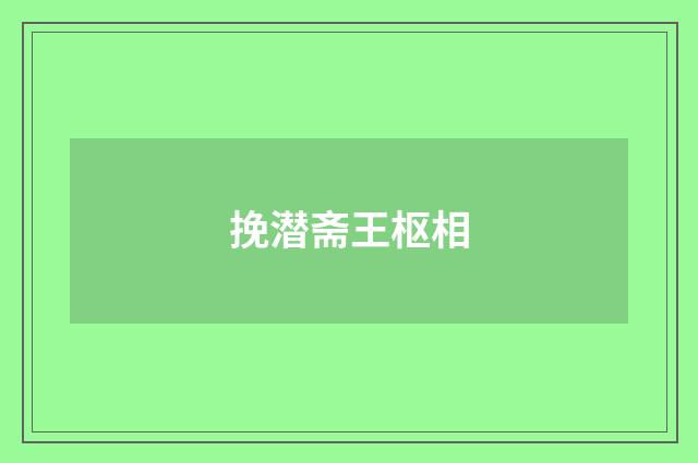 挽潜斋王枢相