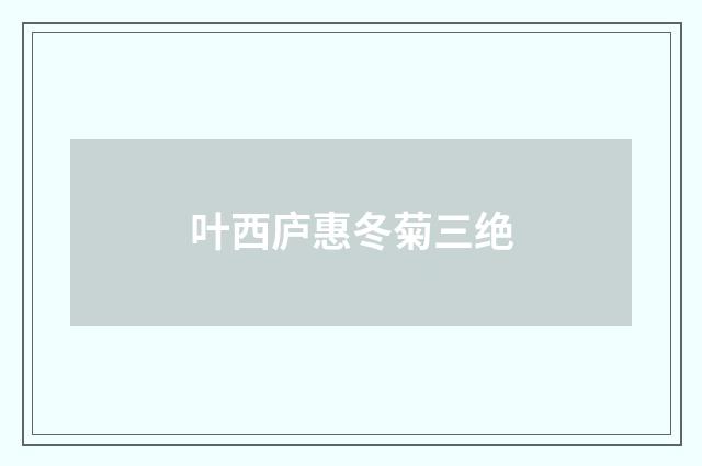 叶西庐惠冬菊三绝