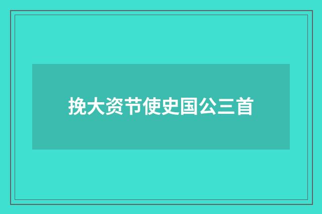 挽大资节使史国公三首