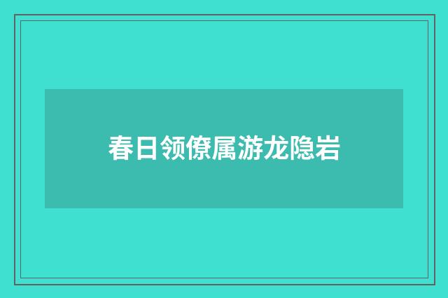 春日领僚属游龙隐岩