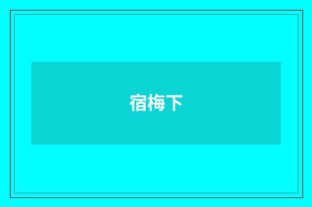 宿梅下