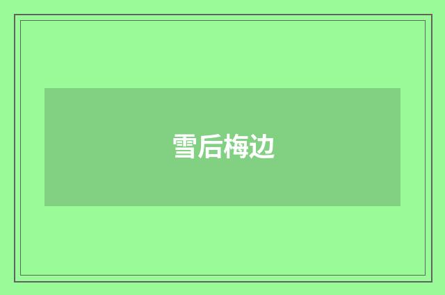 雪后梅边