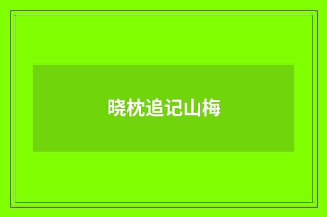 晓枕追记山梅