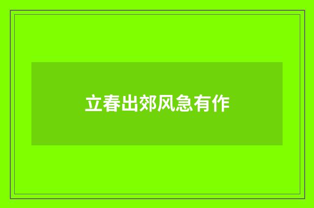 立春出郊风急有作
