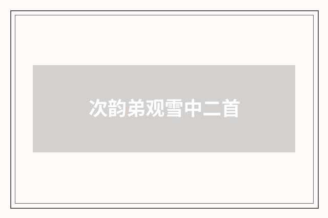 次韵弟观雪中二首