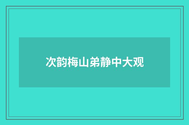 次韵梅山弟静中大观