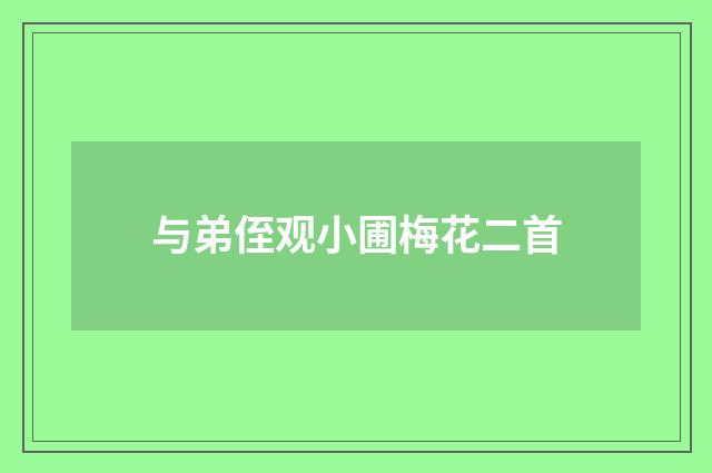 与弟侄观小圃梅花二首