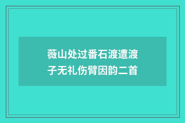 薇山处过番石渡遭渡子无礼伤臂因韵二首