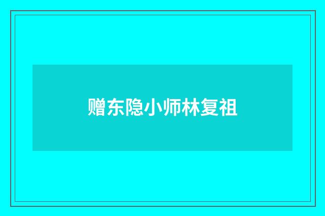 赠东隐小师林复祖