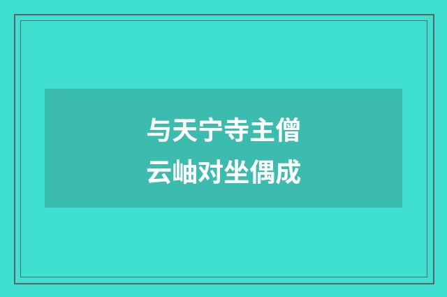 与天宁寺主僧云岫对坐偶成