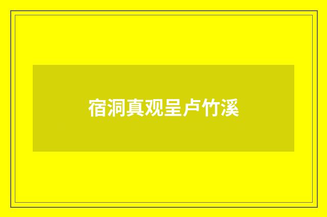 宿洞真观呈卢竹溪