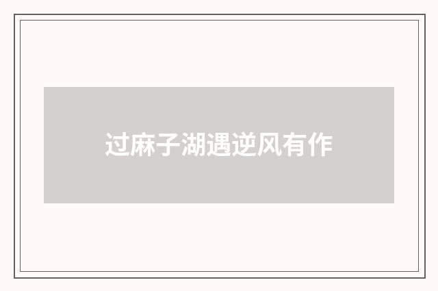 过麻子湖遇逆风有作