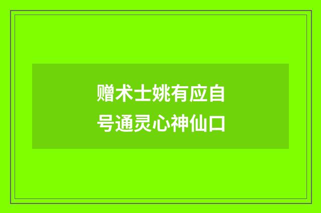 赠术士姚有应自号通灵心神仙口