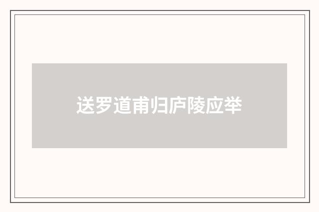送罗道甫归庐陵应举