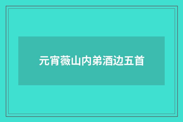 元宵薇山内弟酒边五首