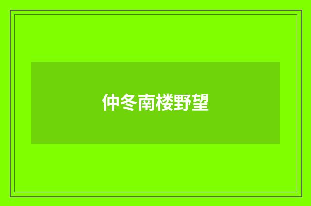 仲冬南楼野望