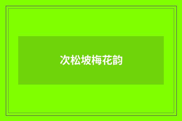 次松坡梅花韵