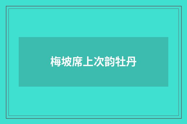 梅坡席上次韵牡丹
