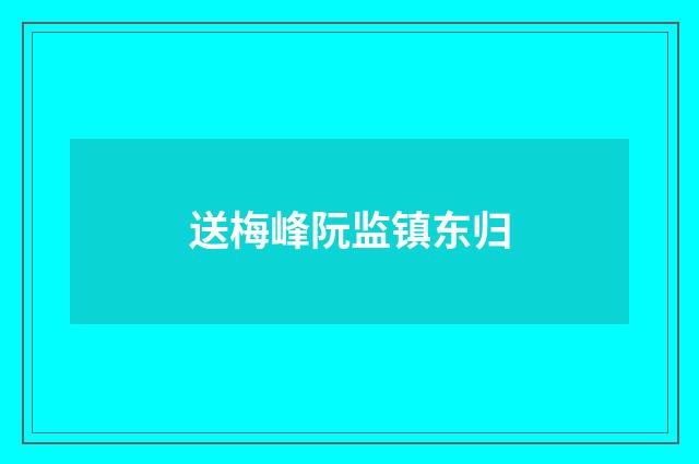 送梅峰阮监镇东归