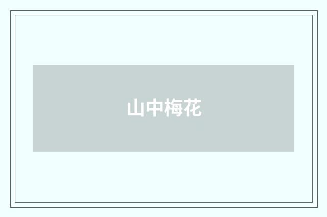 山中梅花