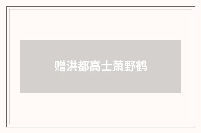 赠洪都高士萧野鹤
