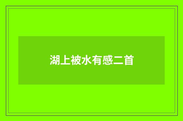 湖上被水有感二首
