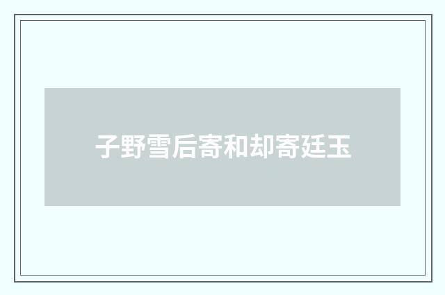 子野雪后寄和却寄廷玉