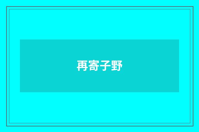 再寄子野