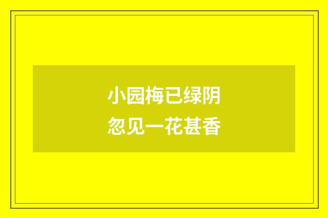 小园梅已绿阴忽见一花甚香