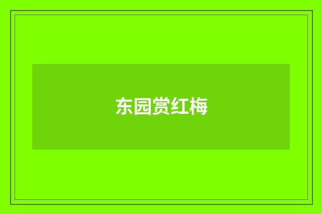 东园赏红梅