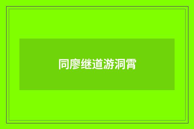 同廖继道游洞霄