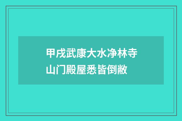甲戌武康大水净林寺山门殿屋悉皆倒敝