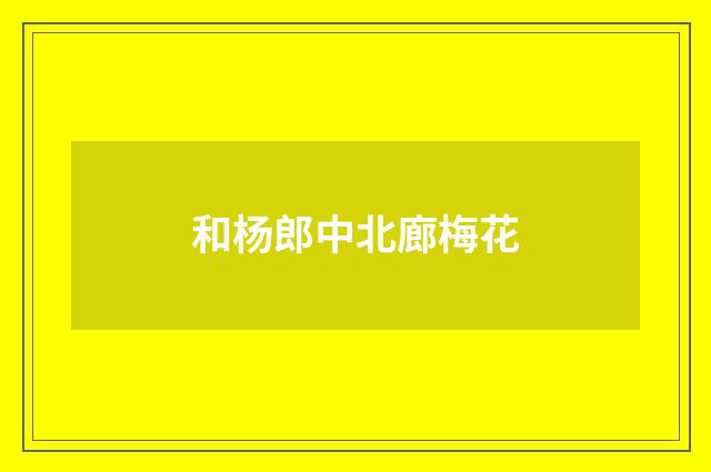 和杨郎中北廊梅花
