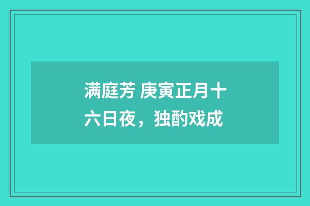满庭芳 庚寅正月十六日夜，独酌戏成