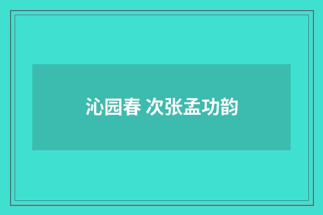 沁园春 次张孟功韵