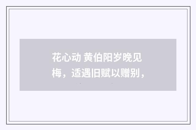 花心动 黄伯阳岁晚见梅，适遇旧赋以赠别，
