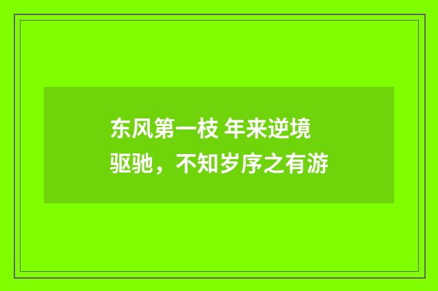 东风第一枝 年来逆境驱驰，不知岁序之有游