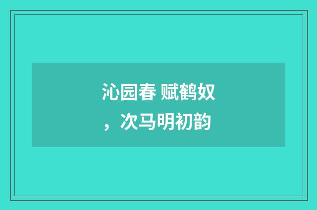 沁园春 赋鹤奴，次马明初韵