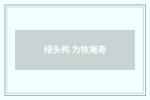 绿头鸭 为牧庵寿