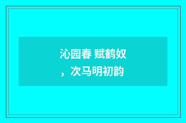 沁园春 赋鹤奴，次马明初韵