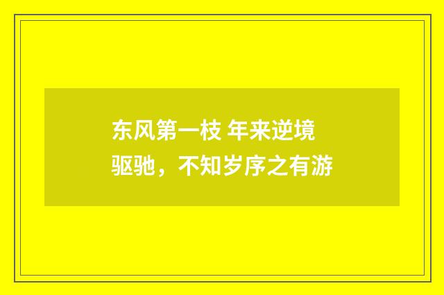 东风第一枝 年来逆境驱驰，不知岁序之有游