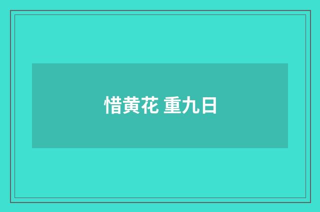 惜黄花 重九日