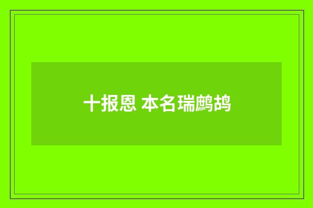 十报恩 本名瑞鹧鸪
