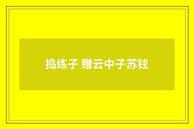 捣练子 赠云中子苏铉