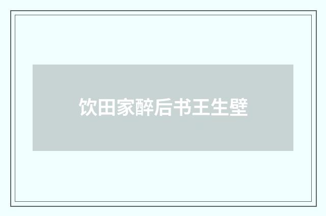 饮田家醉后书王生壁