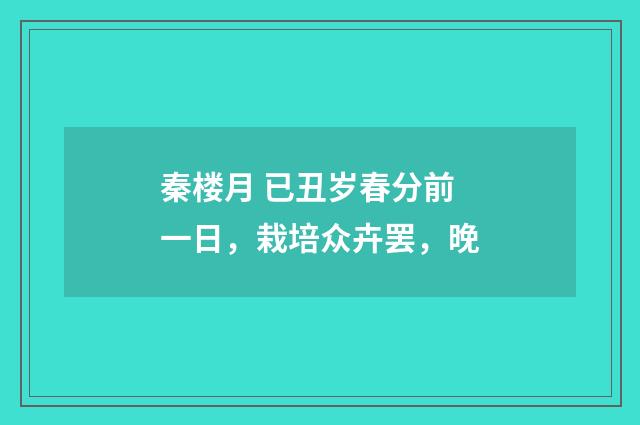 秦楼月 已丑岁春分前一日，栽培众卉罢，晚