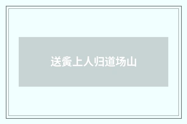 送夤上人归道场山