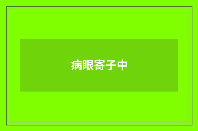 病眼寄子中