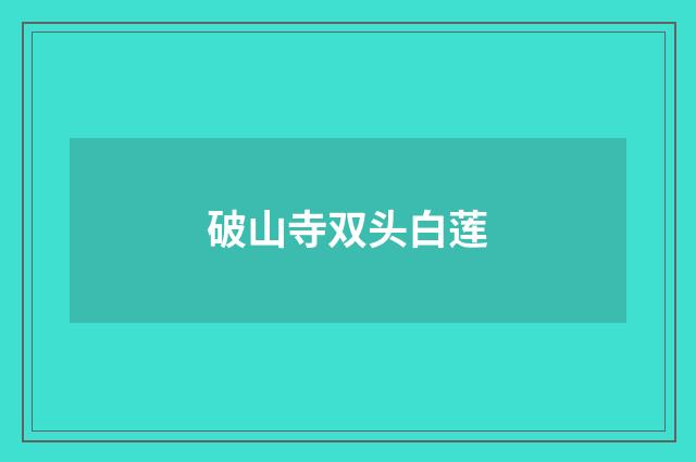 破山寺双头白莲